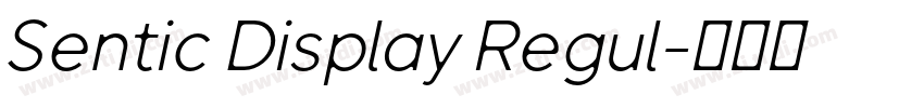 Sentic Display Regul字体转换 Sentic Display Regul字体转换